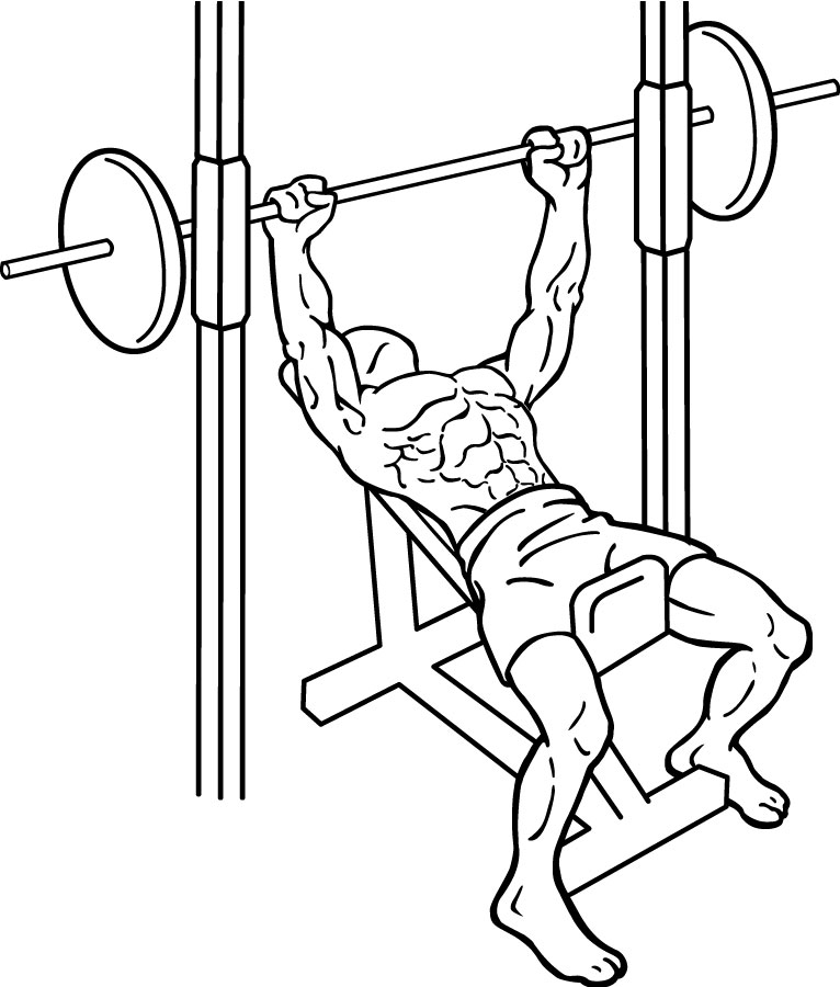 Upper Chest Workouts